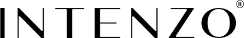 intenzo logo